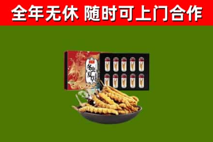 若羌回收冬虫夏草价格